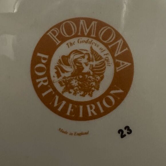 PORTMEIRION POMONA INGESTRIE PIPPIN 8 5/8" SALAD PLATE NEAR MINT V.RARE - Picture 3 of 3